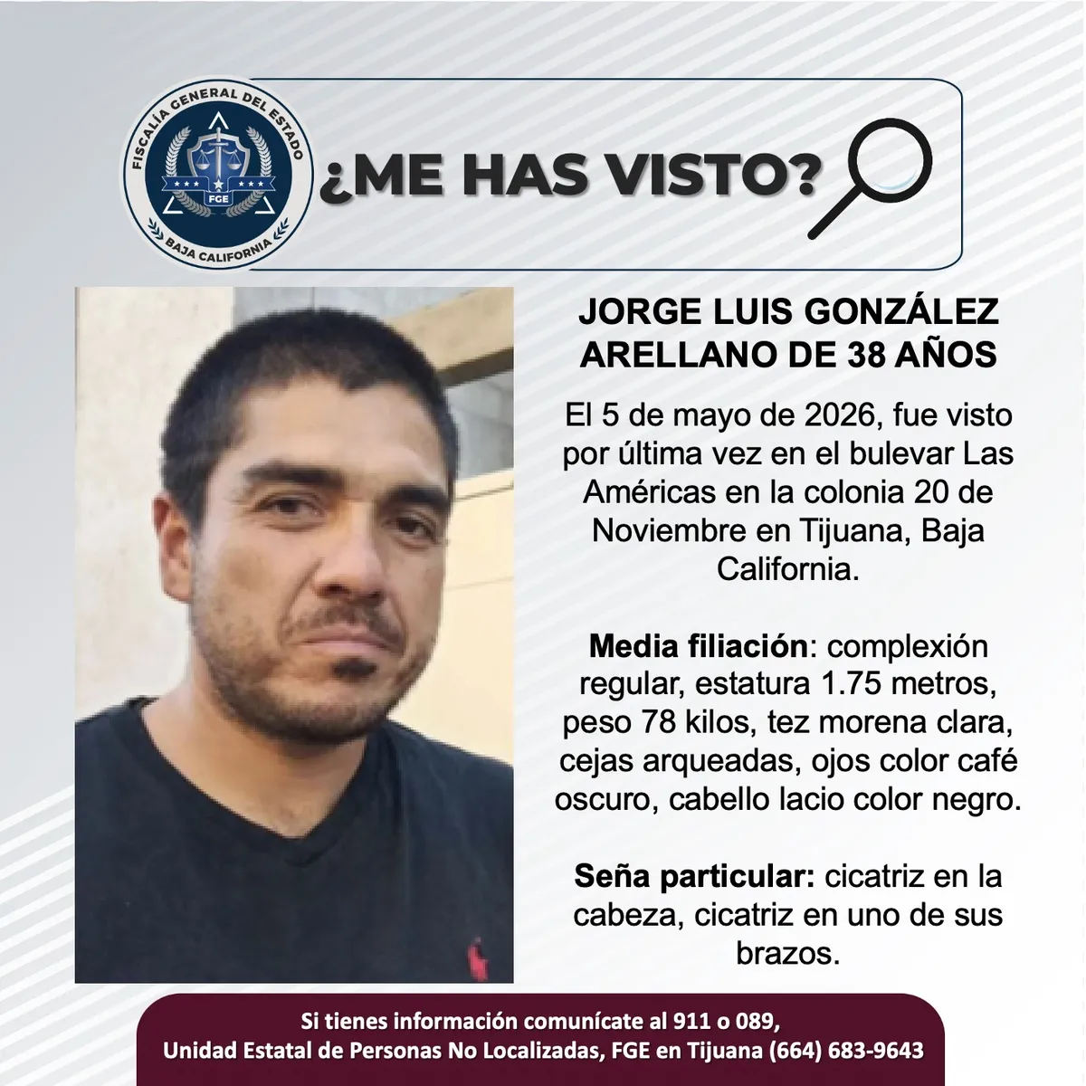 pesquisa_jorge_luis_gonzález_arellano_38