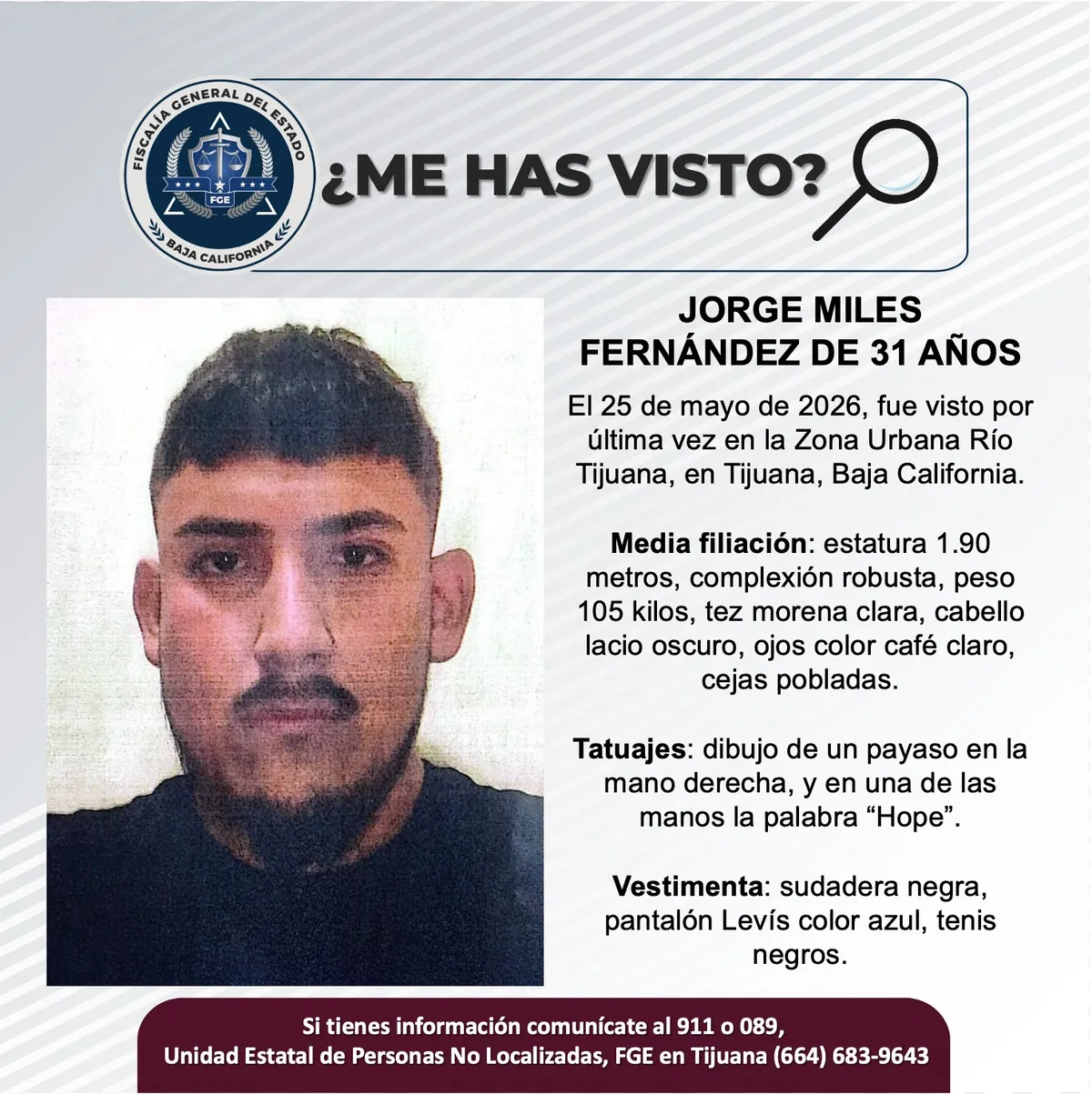 pesquisa_jorge_miles_fernández_31