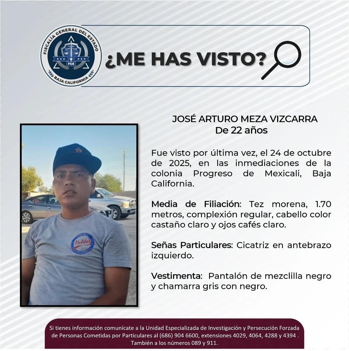 pesquisa_josé_arturo_meza_vizcarra_22