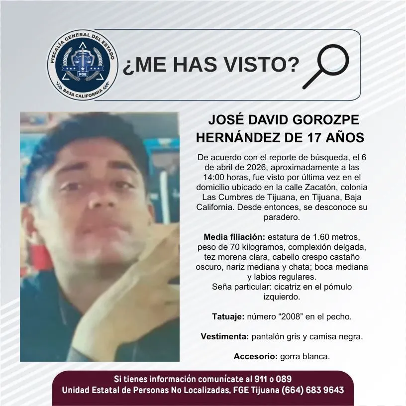 pesquisa_josé_david_gorozpe_hernández_17