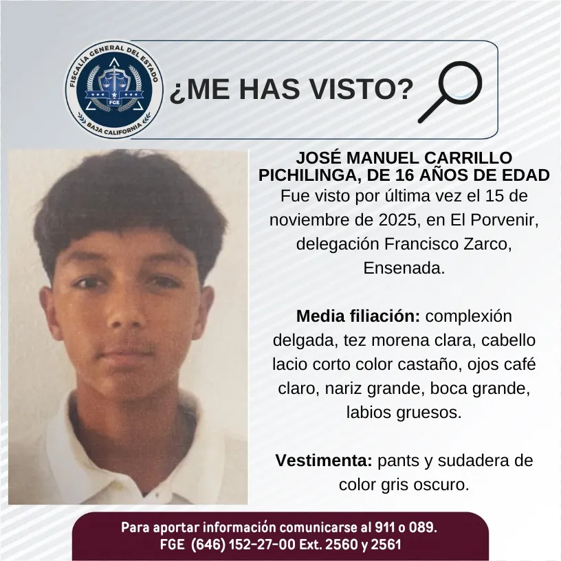 pesquisa_josé_manuel_carrillo_pichilinga_16
