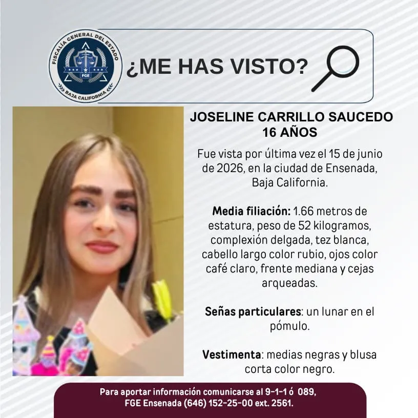 pesquisa_joseline_carrillo_saucedo_16
