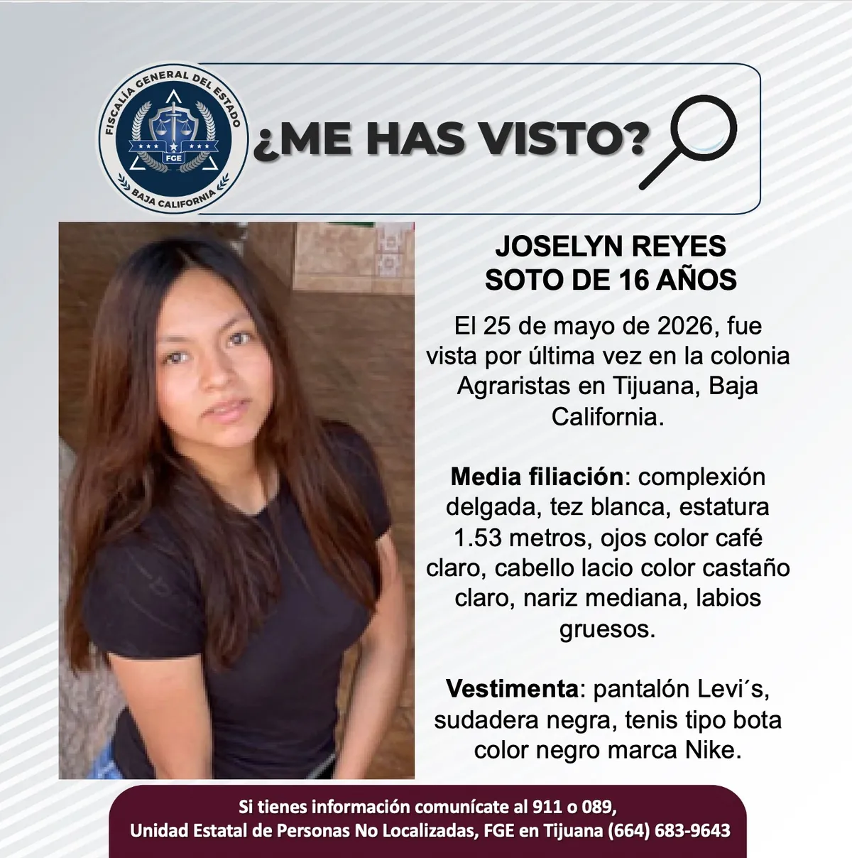 pesquisa_joselyn_reyes_soto_16