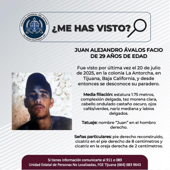 pesquisa_juan_alejandro_ávalos_facio_29