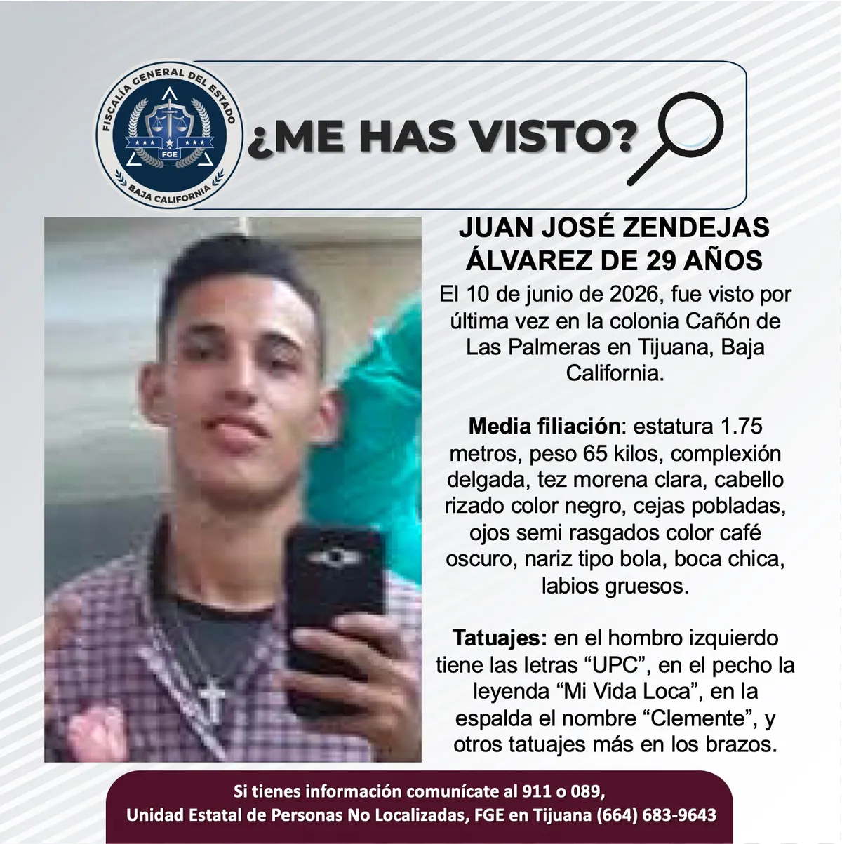 pesquisa_juan_josé_zendejas_álvarez_29
