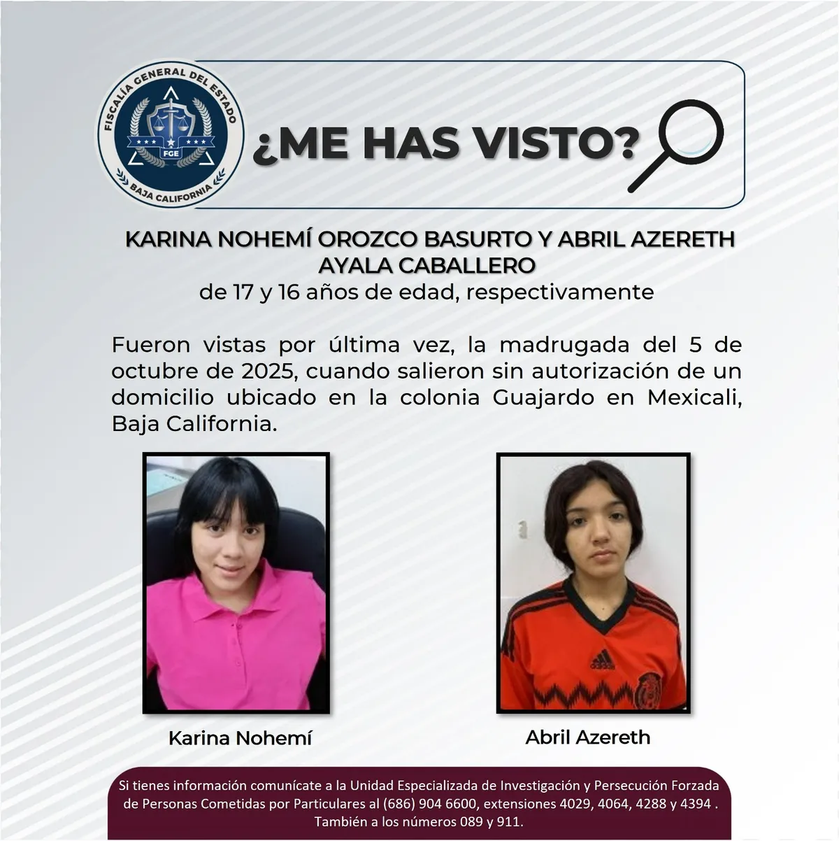 pesquisa_karina_nohemí_orozco_basurto_y_abril_azereth_ayala_caballero_17_16
