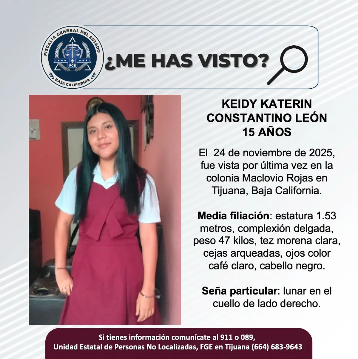 pesquisa_keidy_katerin_constantino_león_15