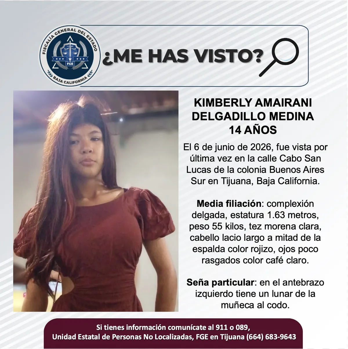 pesquisa_kimberly_amairani_delgadillo_medina_14