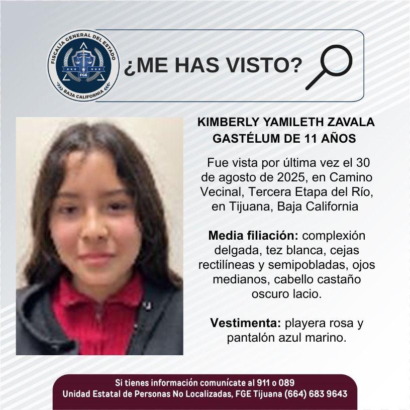 pesquisa_kimberly_yamileth_zavala_gastélum_11