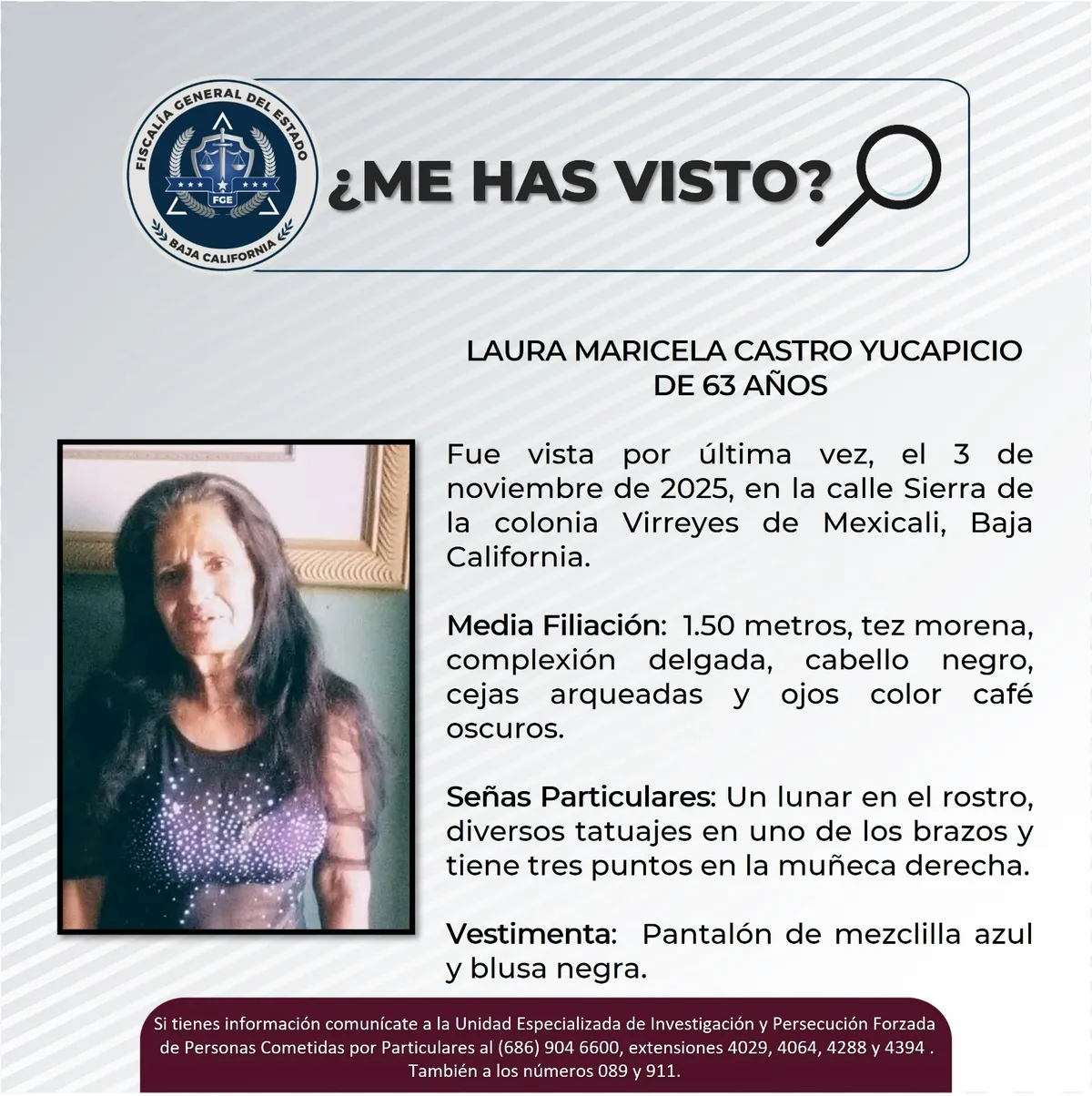 pesquisa_laura_maricela_castro_yucapicio_63