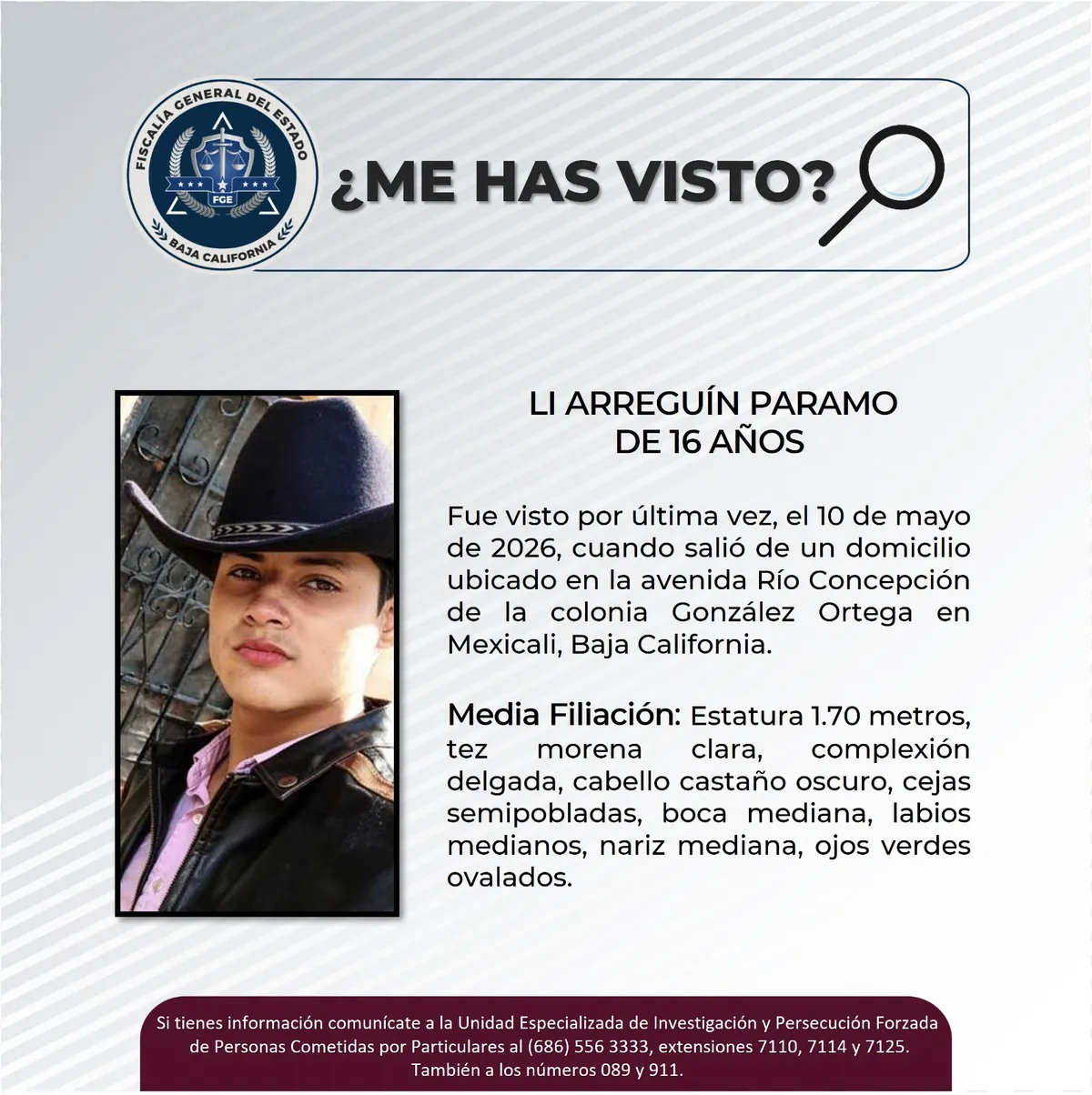 pesquisa_li_arreguín_paramo_16