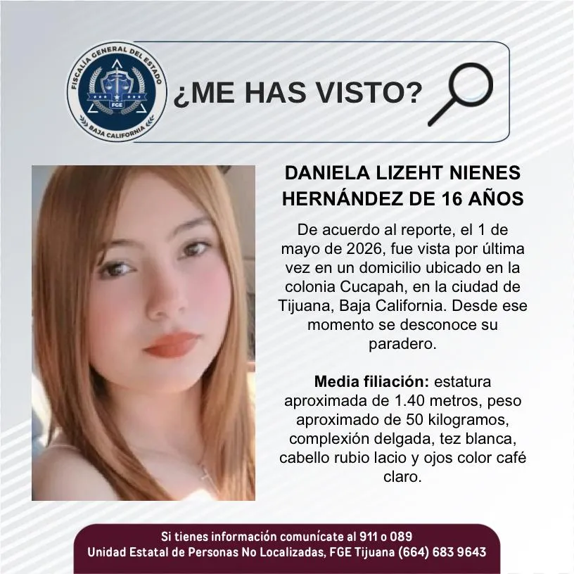 pesquisa_lizeht_nienes_hernández_16