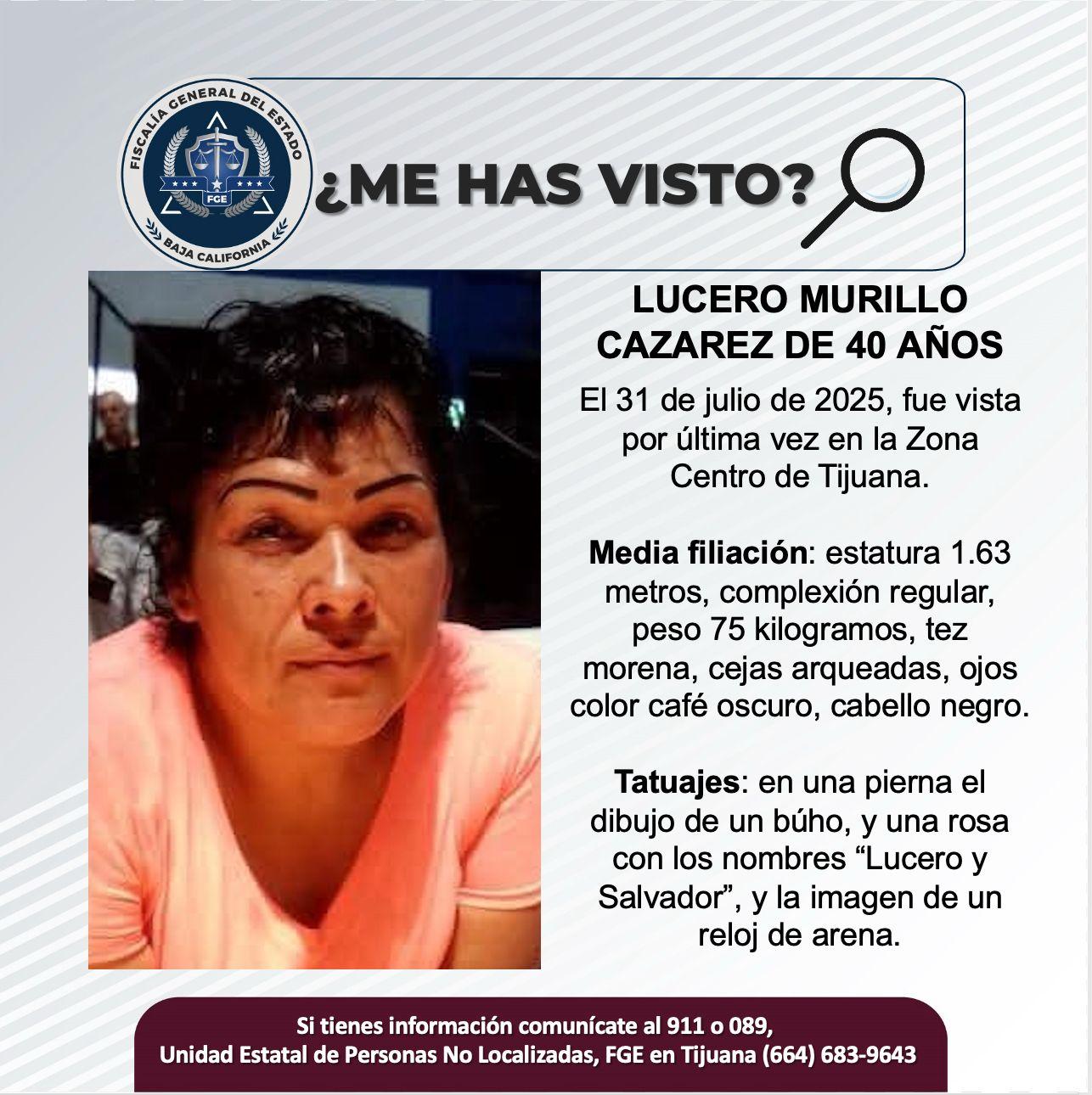 pesquisa_lucero_murillo_cazarez_40