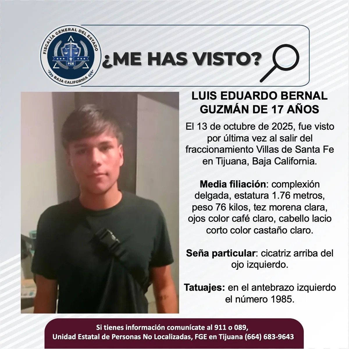 pesquisa_luis_eduardo_bernal_guzmán_17