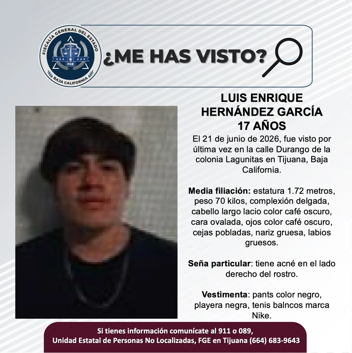 pesquisa_luis_enrique_hernández_garcía_17