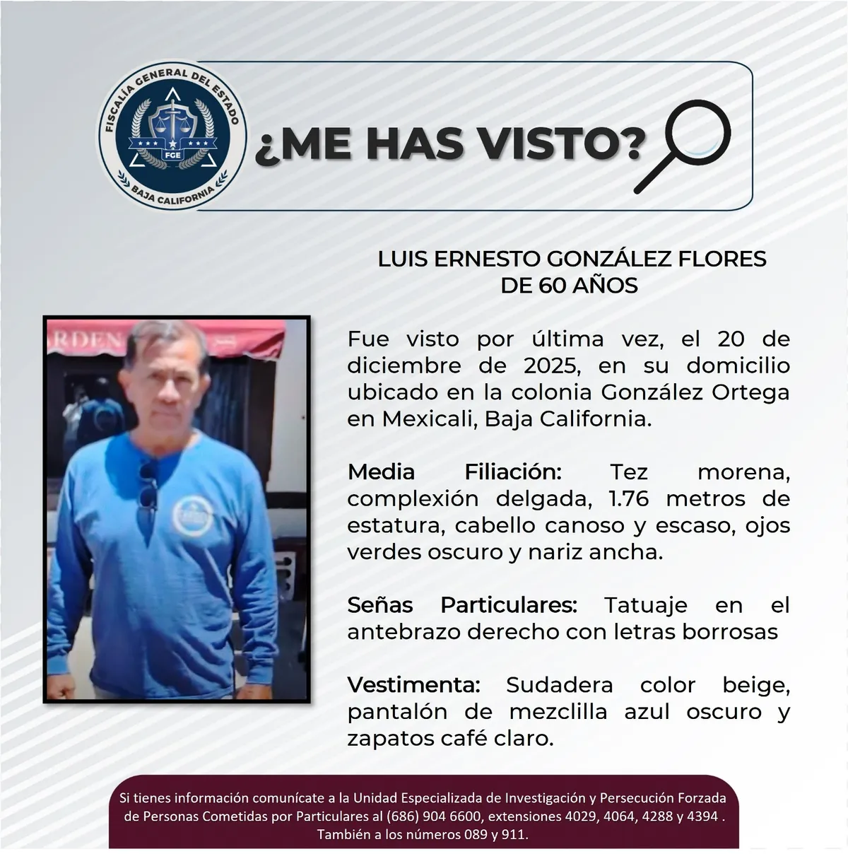 pesquisa_luis_ernesto_gonzález_flores_60