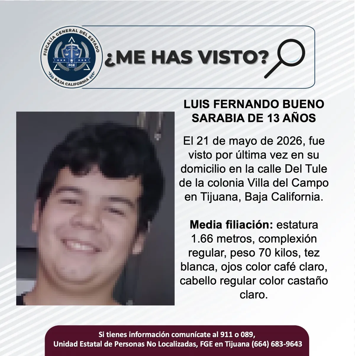 pesquisa_luis_fernando_bueno_sarabia_13