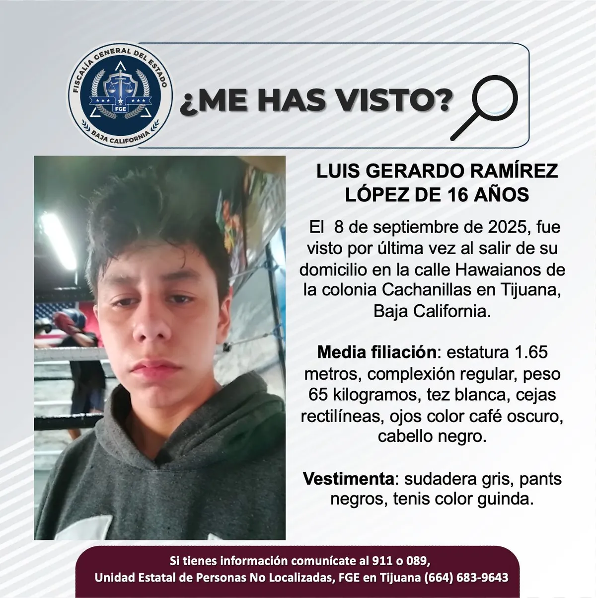 pesquisa_luis_gerardo_ramírez_lópez_16