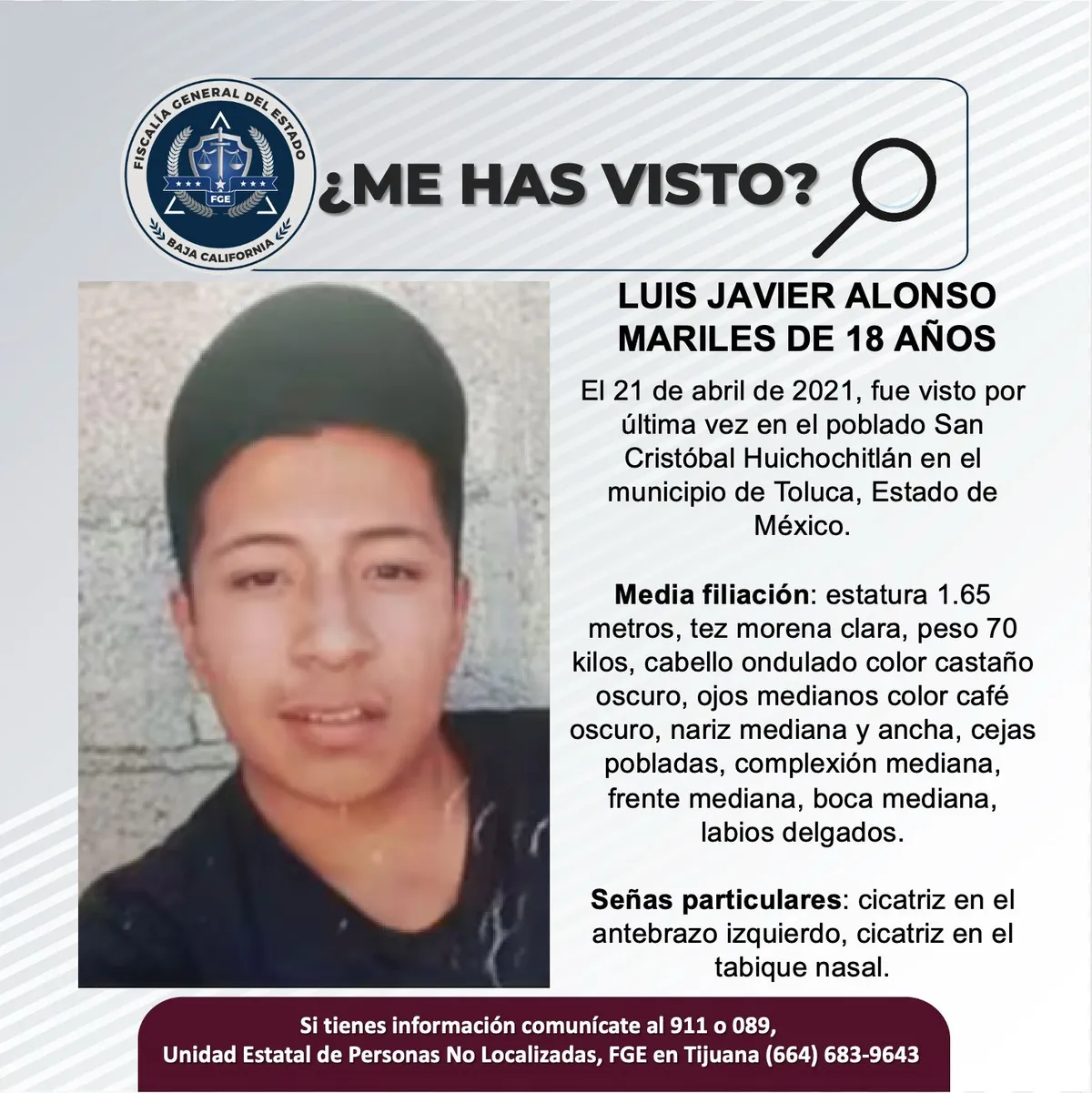 pesquisa_luis_javier_alonso_mariles_18