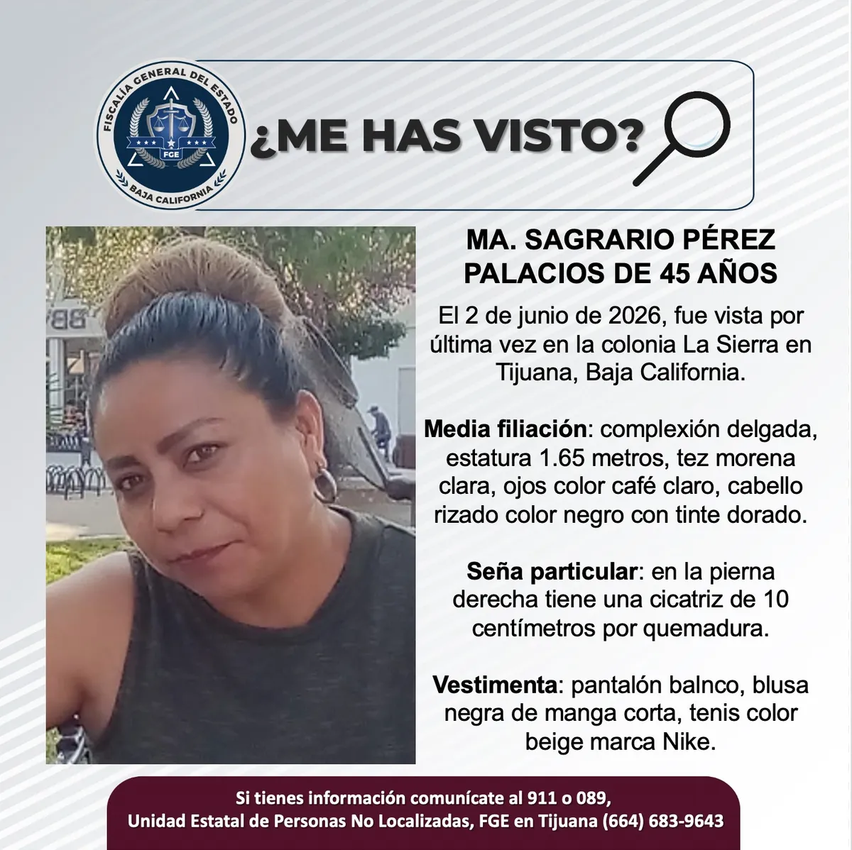 pesquisa_ma_sagrario_pérez_palacios_45