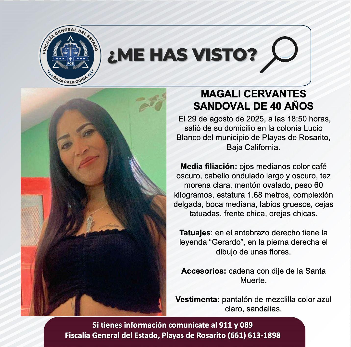 pesquisa_magali_cervantes_sandoval_40