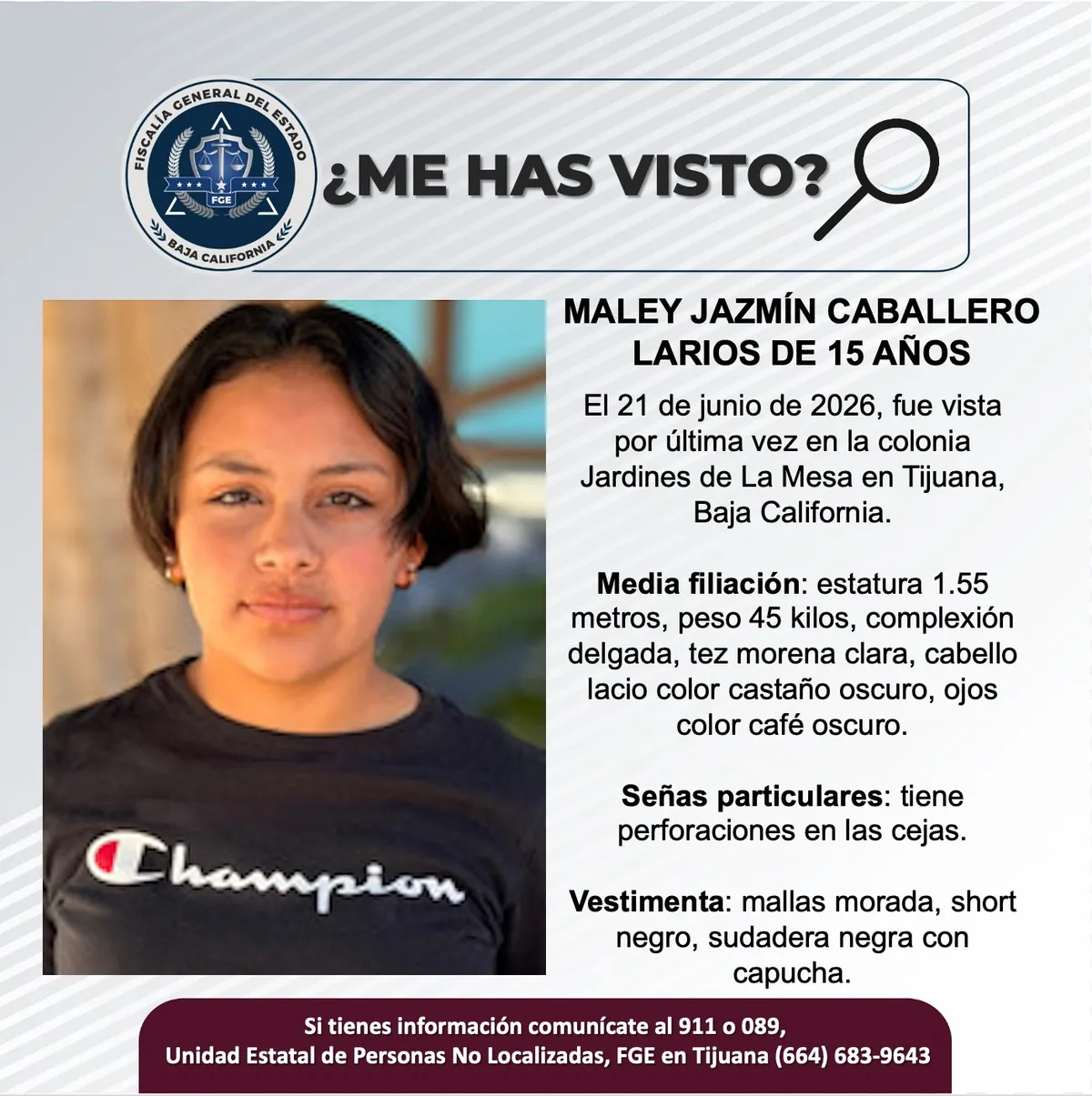 pesquisa_maley_jazmín_caballero_larios_15
