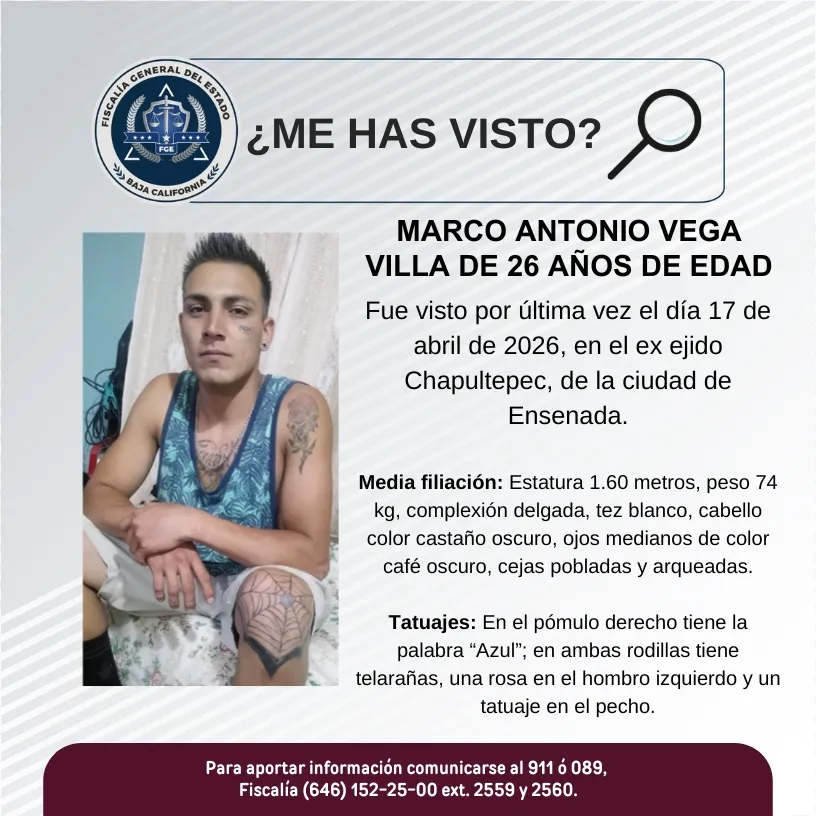 pesquisa_marco_antonio_vega_villa_26