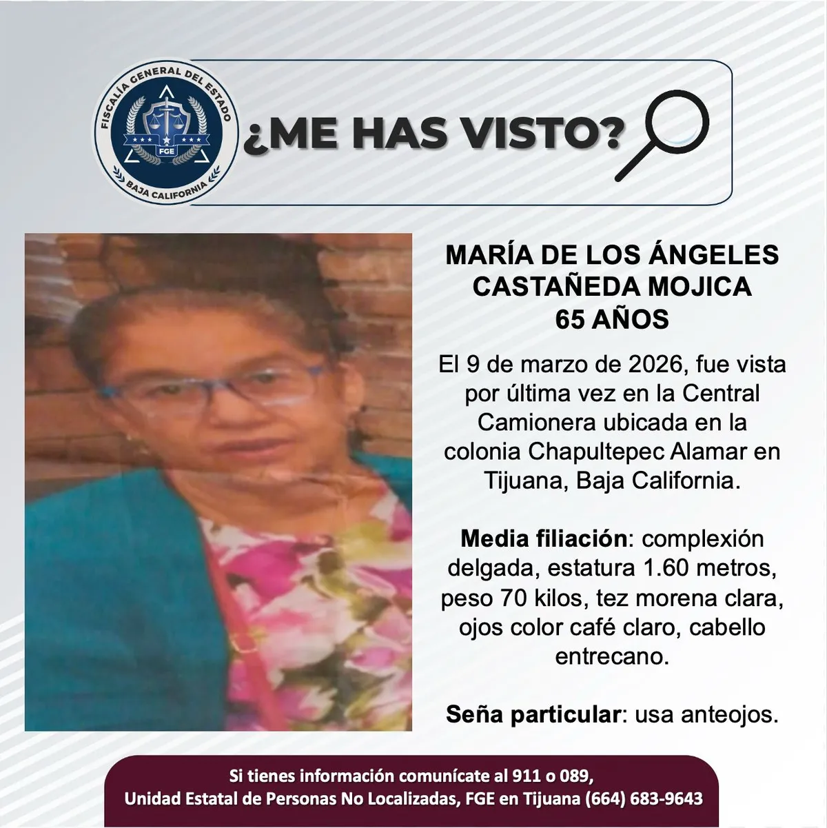 pesquisa_maría_de_los_ángeles_castañeda_mojica_65