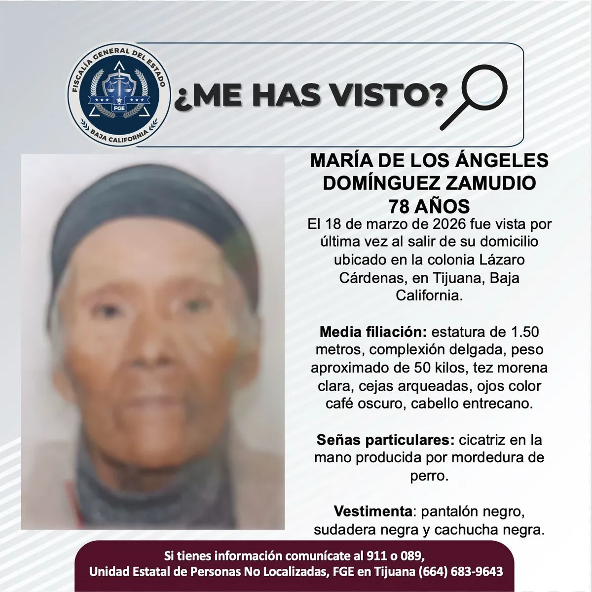 pesquisa_maría_de_los_ángeles_domínguez_zamudio_78