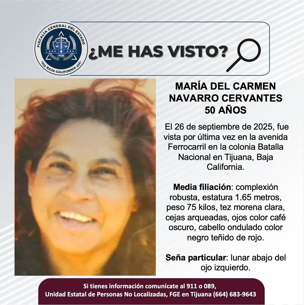 pesquisa_maría_del_carmen_navarro_cervantes_50