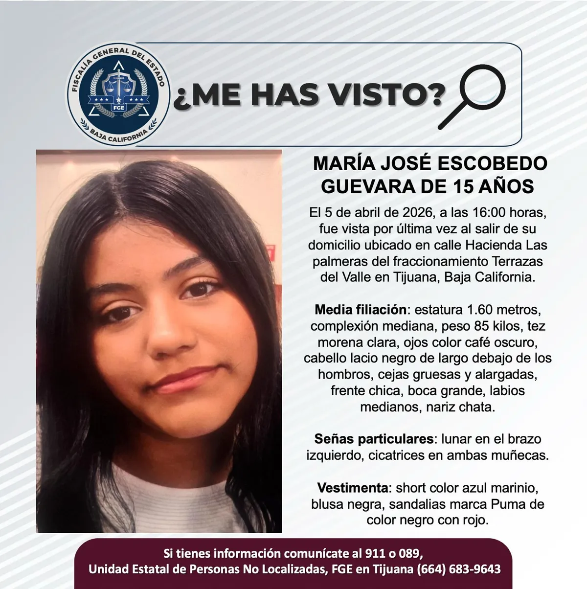 pesquisa_maría_josé_escobedo_guevara_15