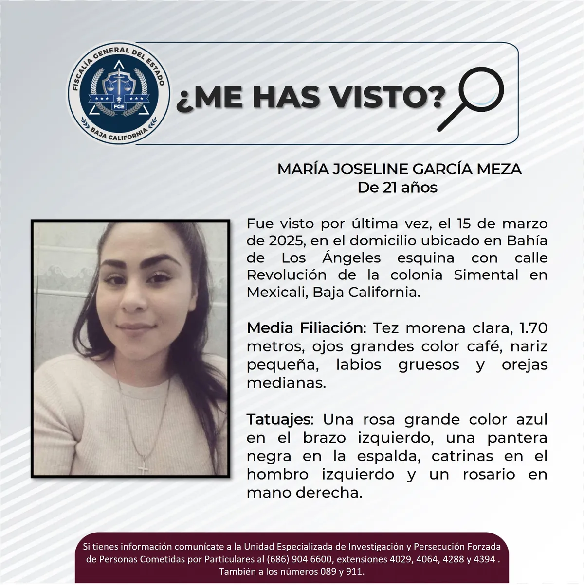 pesquisa_maría_joseline_garcía_meza_21