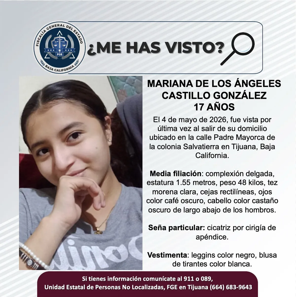 pesquisa_mariana_de_los_ángeles_castillo_gonzález_17