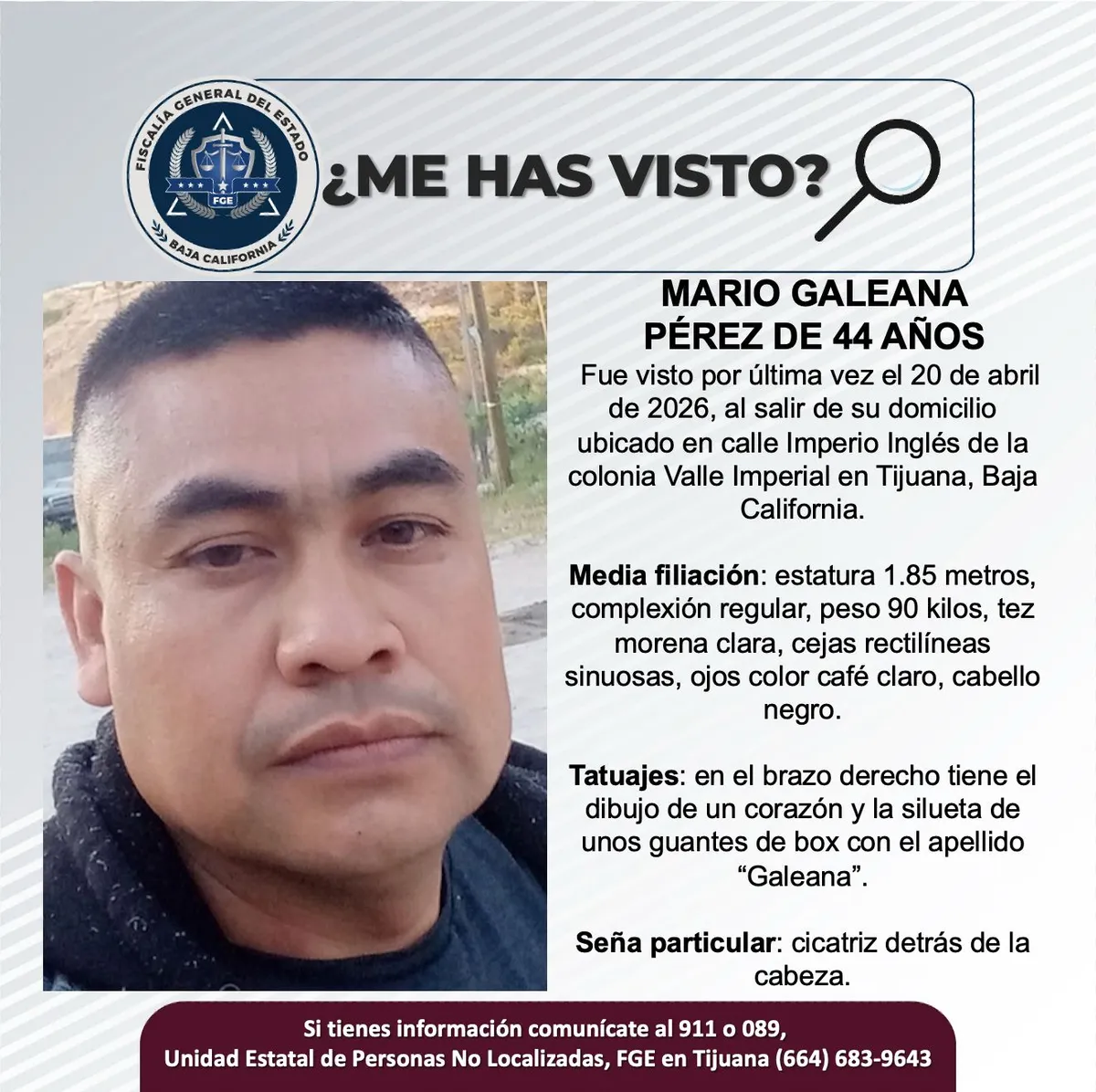 pesquisa_mario_galeana_pérez_44