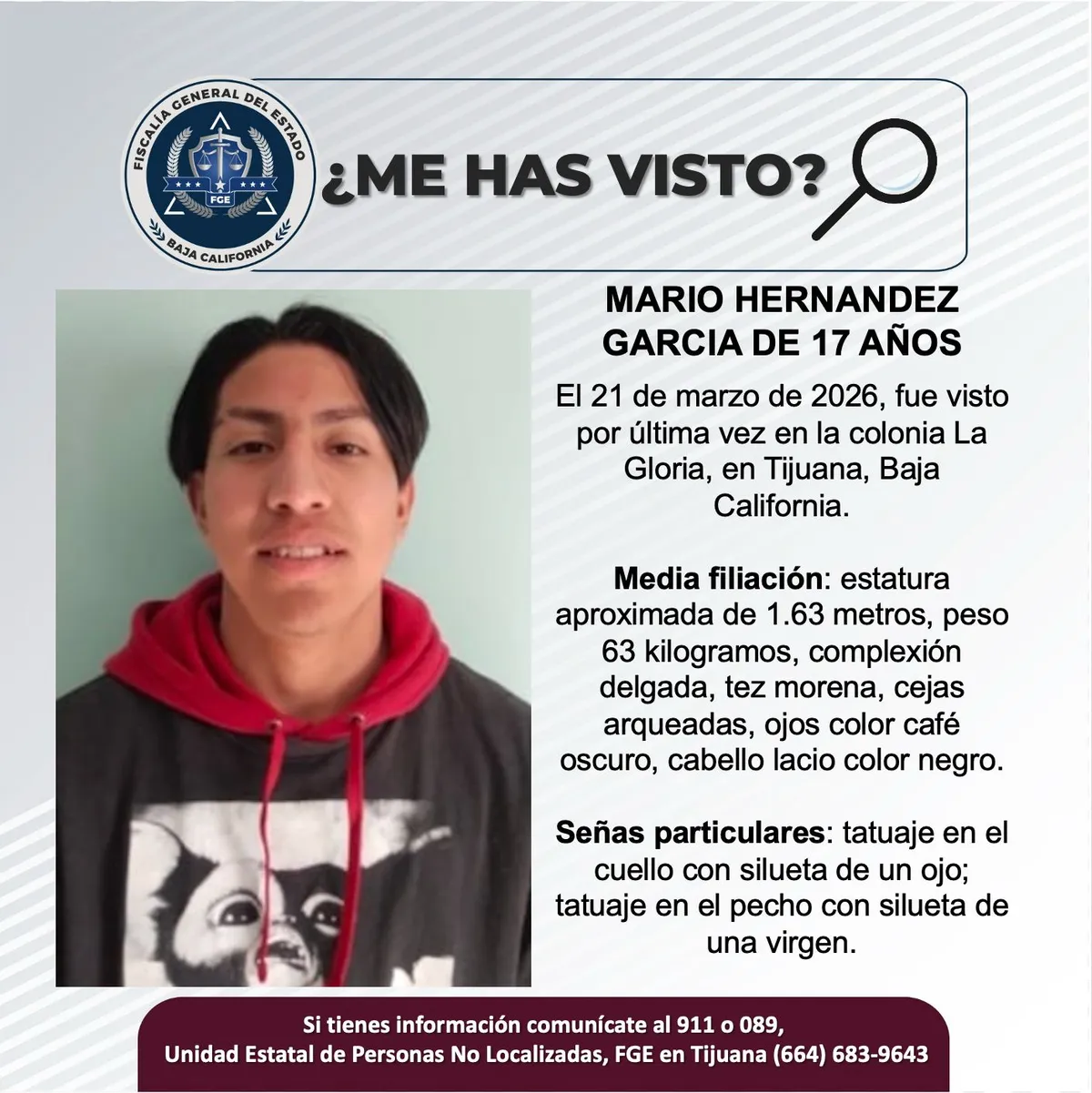 pesquisa_mario_hernández_garcía_17