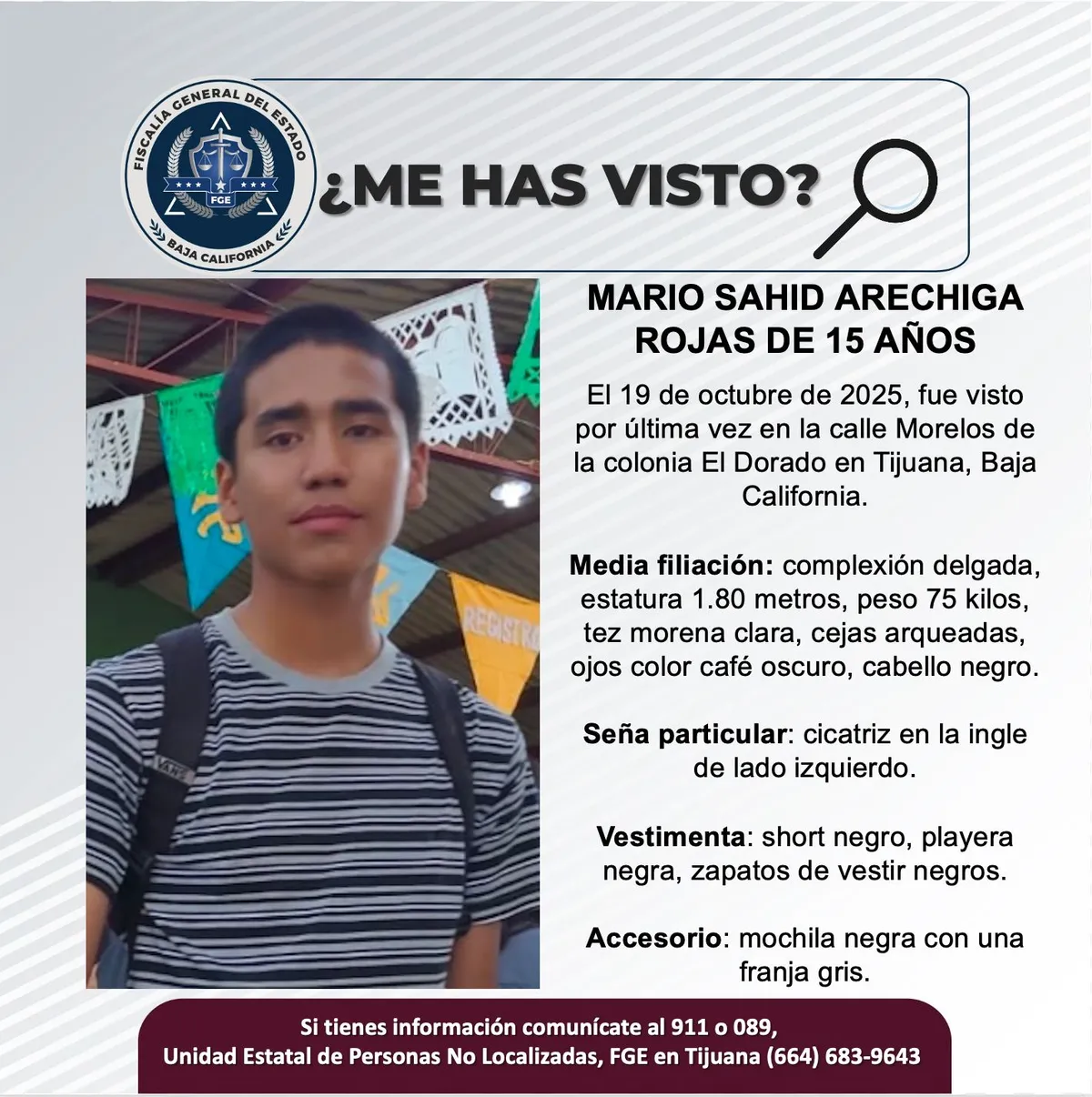 pesquisa_mario_sahid_arechiga_rojas_15