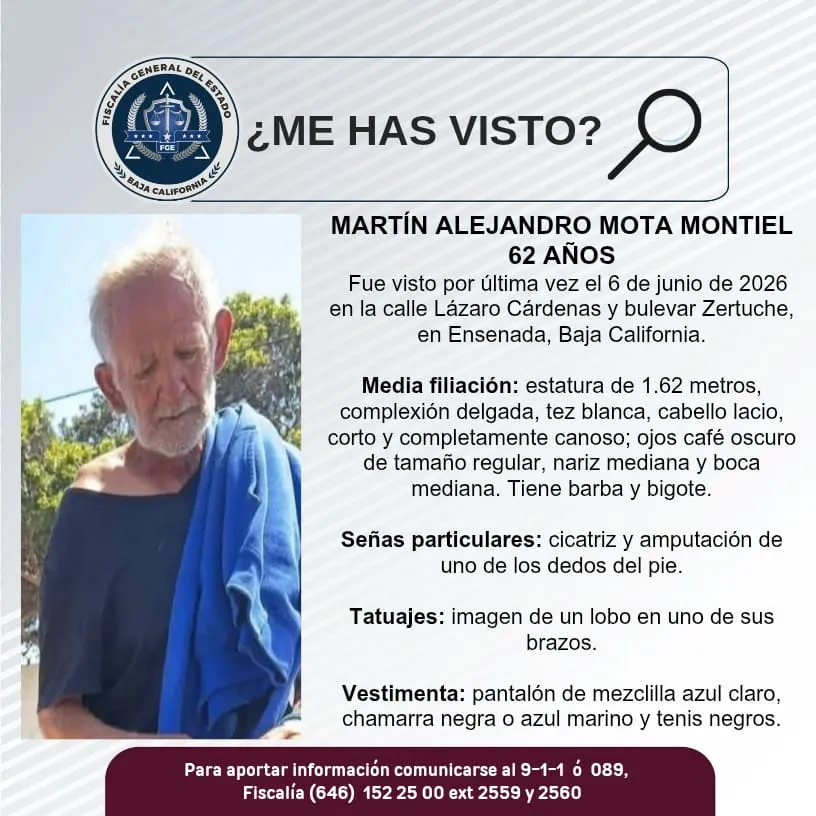 pesquisa_martín_alejandro_mota_montiel_62