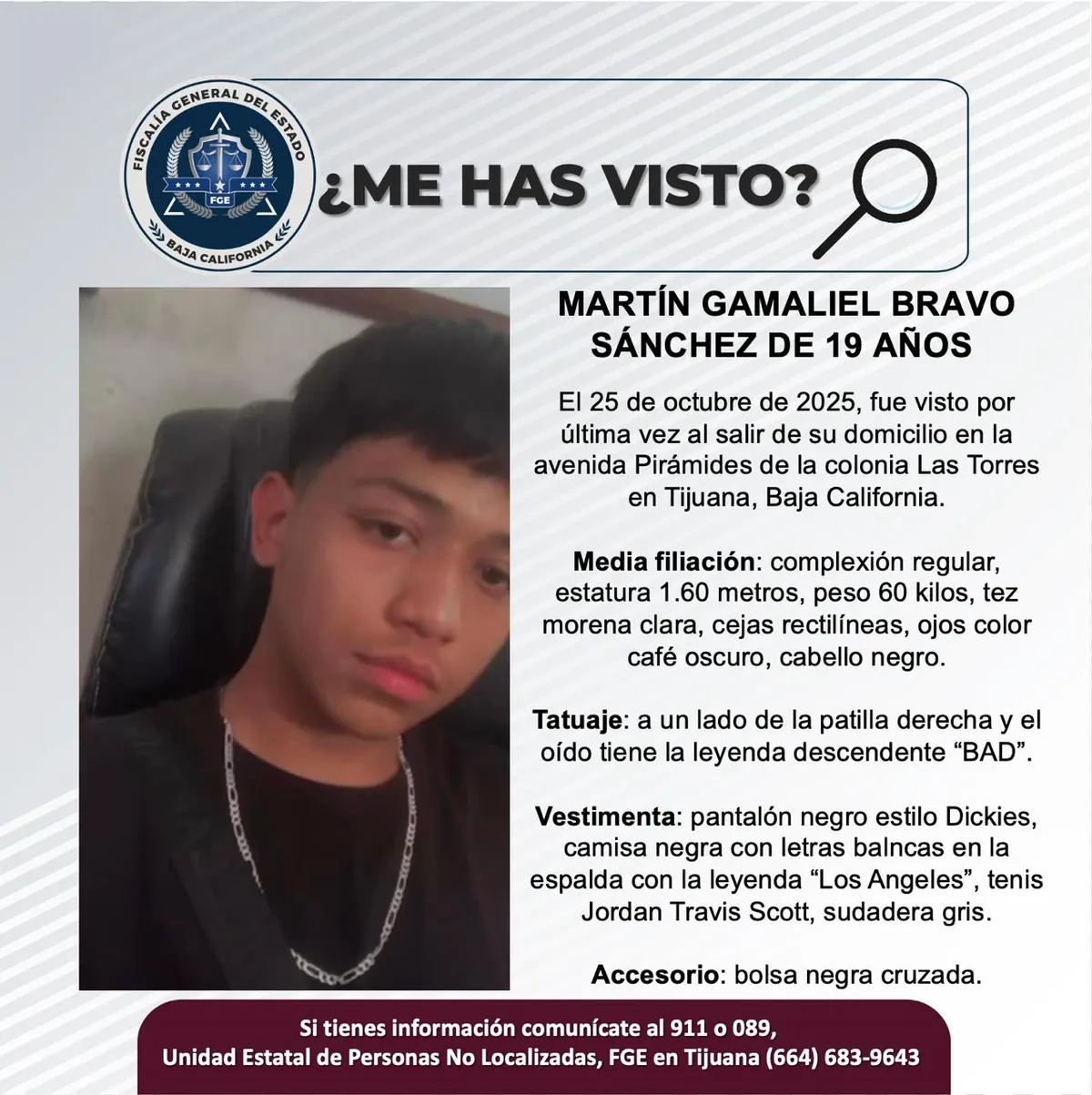 pesquisa_martín_gamaliel_bravo_sánchez_19