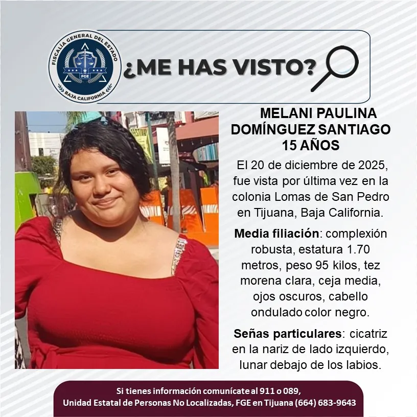 pesquisa_melani_paulina_domínguez_santiago_15
