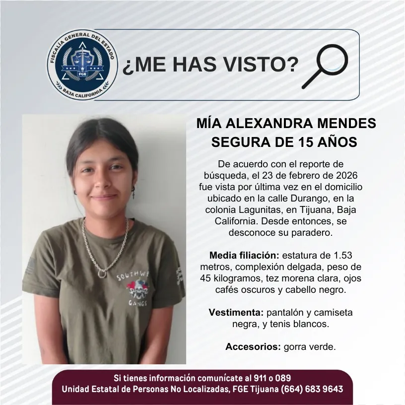 pesquisa_mía_alexandra_mendes_segura_15