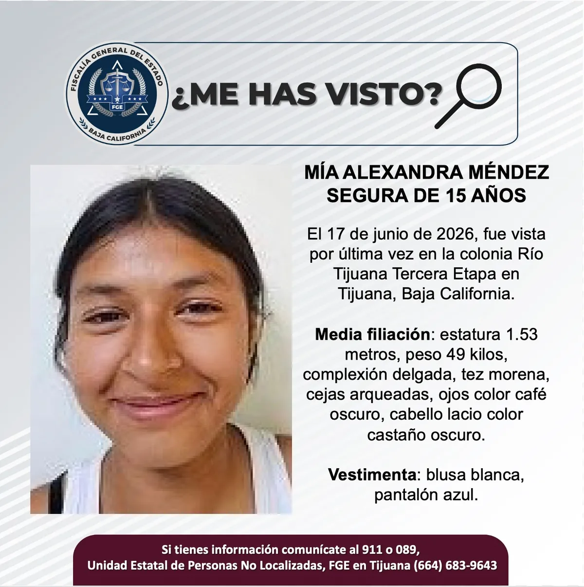 pesquisa_mía_alexandra_méndez_segura_15