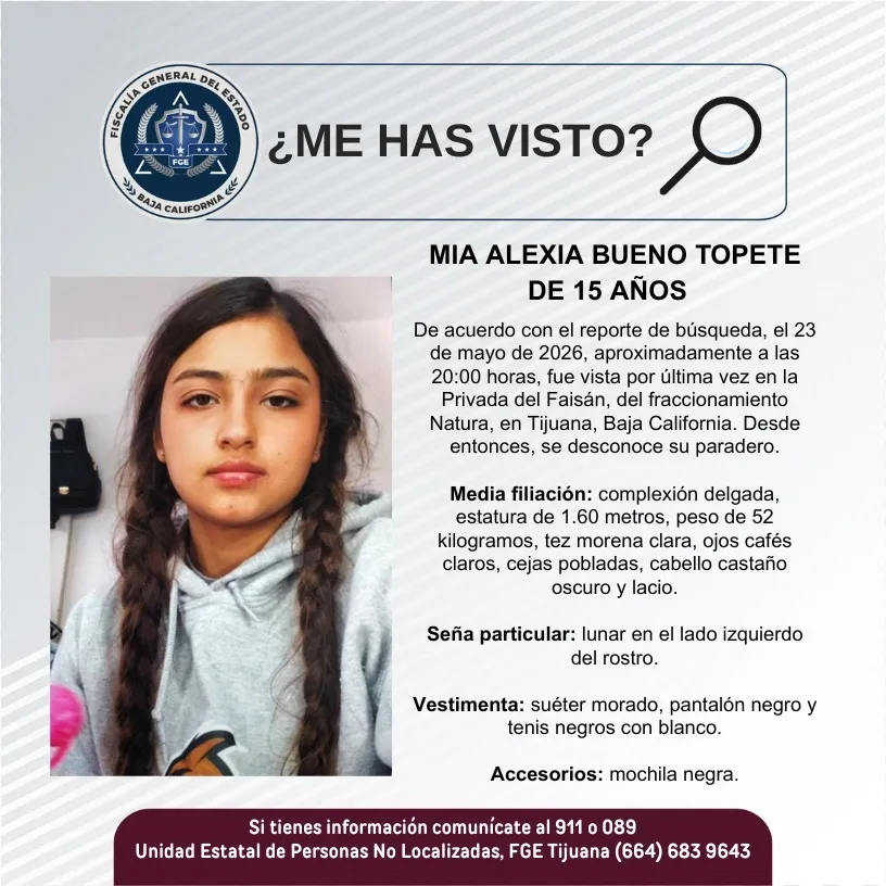 pesquisa_mía_alexia_bueno_topete_15