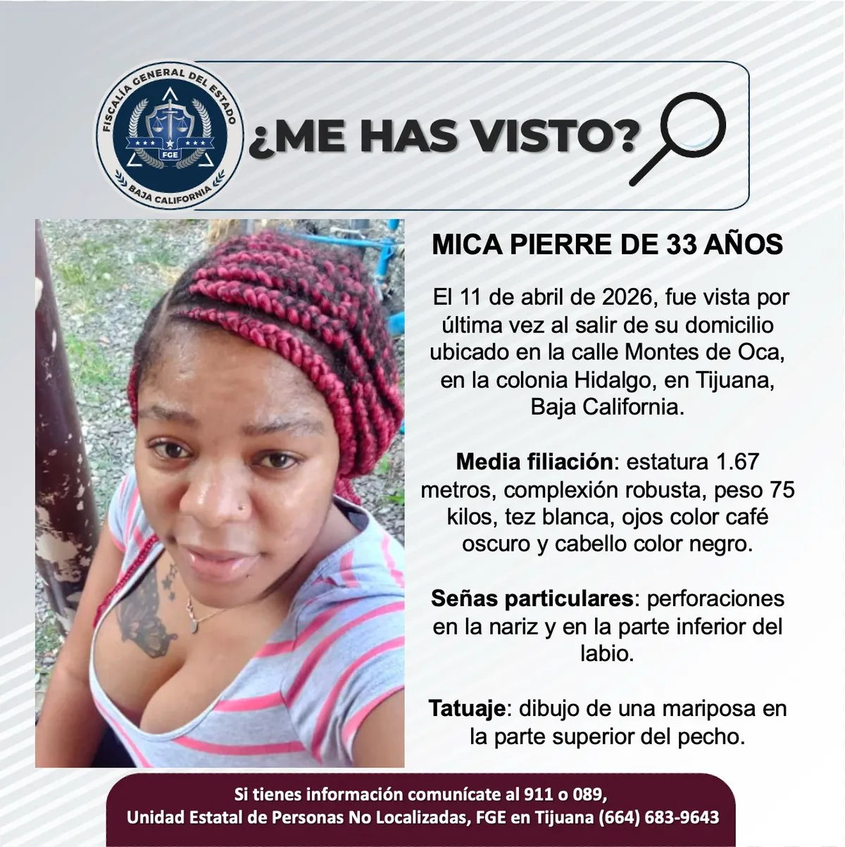 pesquisa_mica_pierre_33