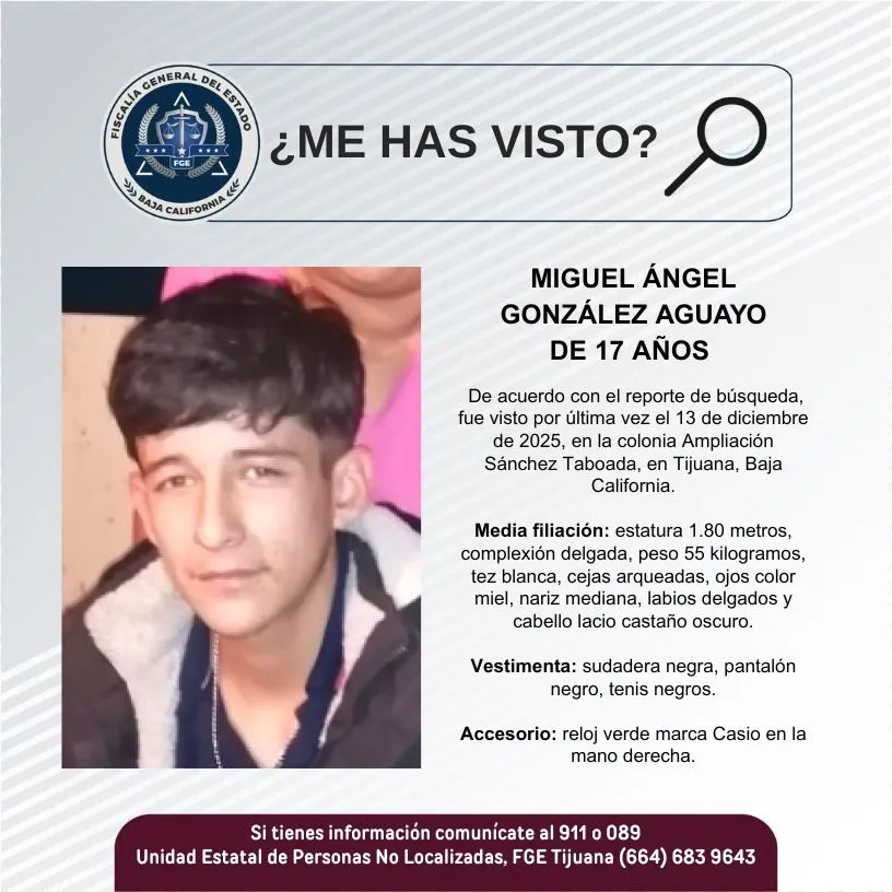 pesquisa_miguel_ángel_gonzález_aguayo_17