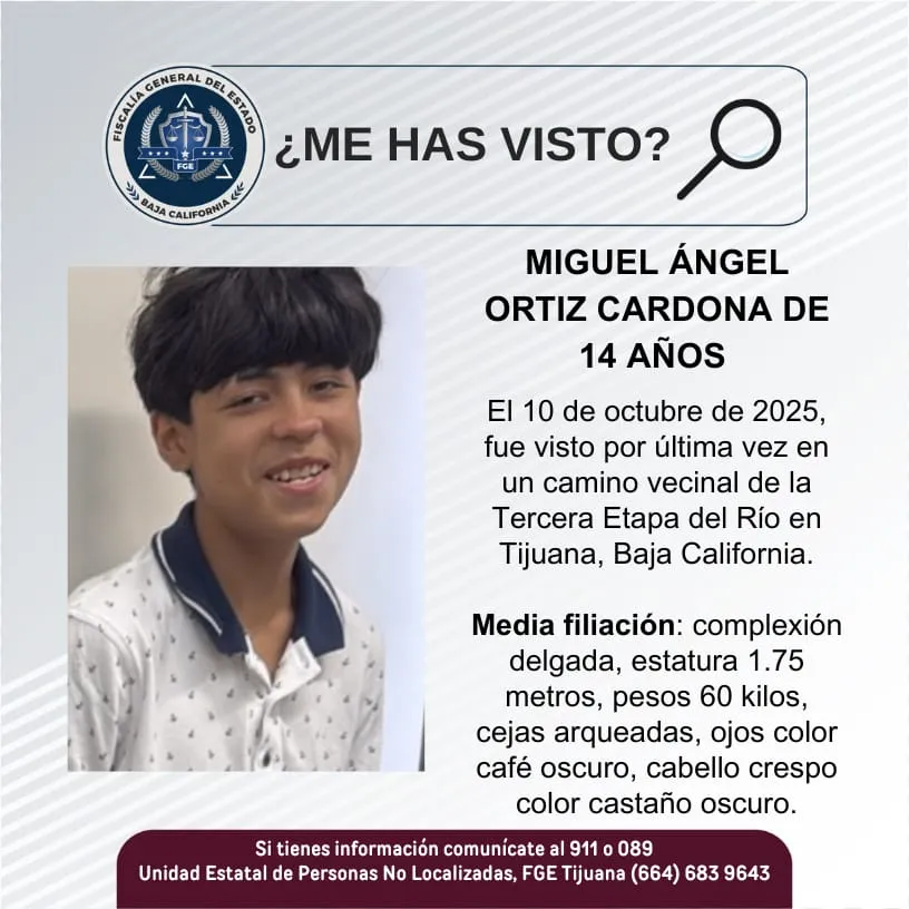 pesquisa_miguel_ángel_ortiz_cardona_14