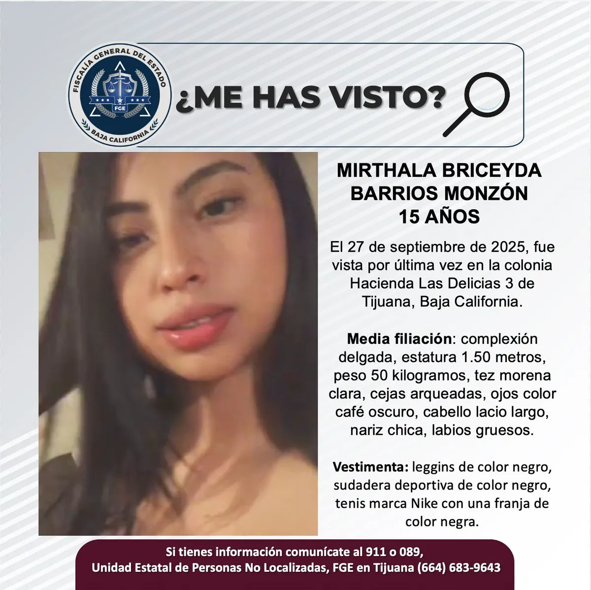 pesquisa_mirthala_briceyda_barrios_monzón_15