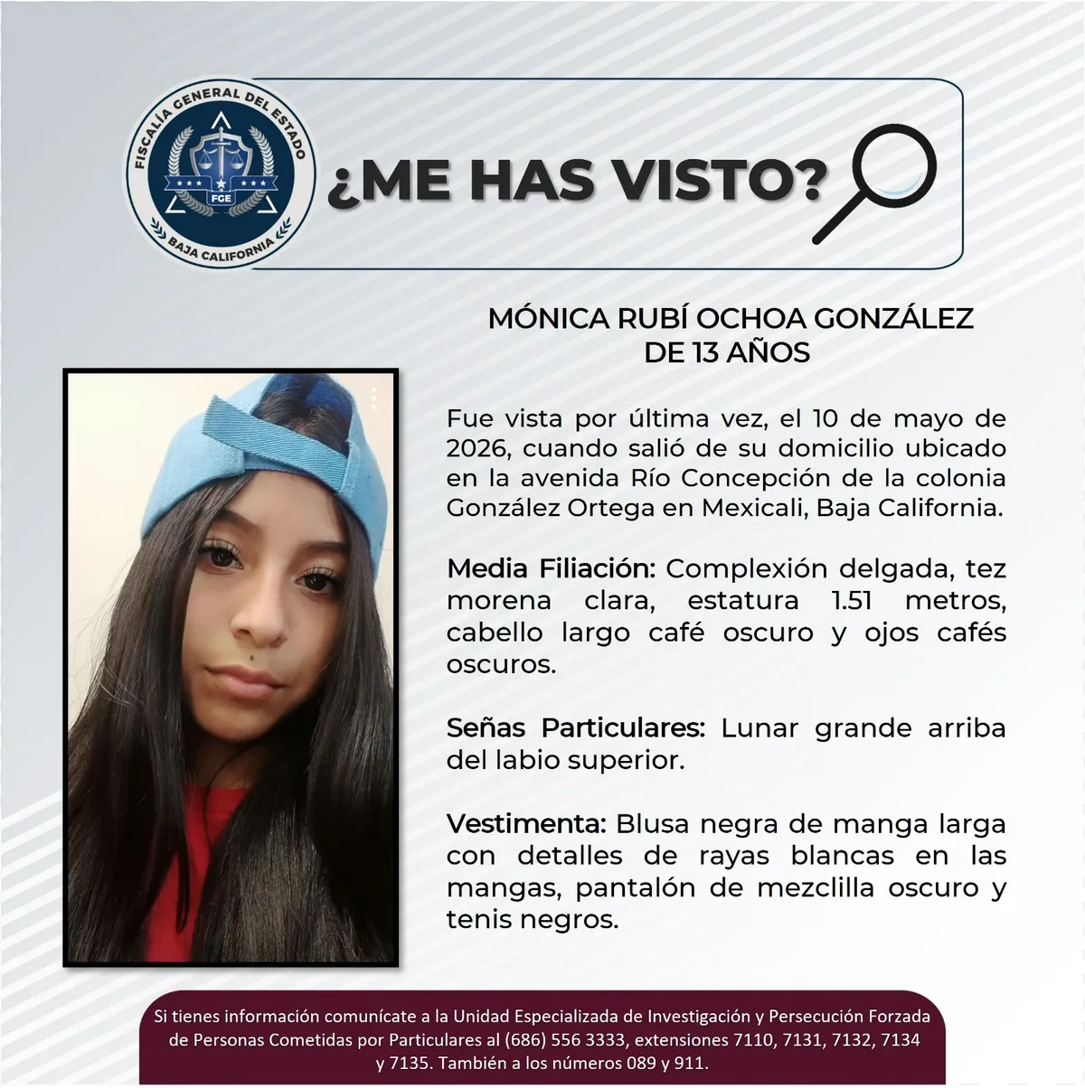pesquisa_mónica_rubí_ochoa_gonzález_13