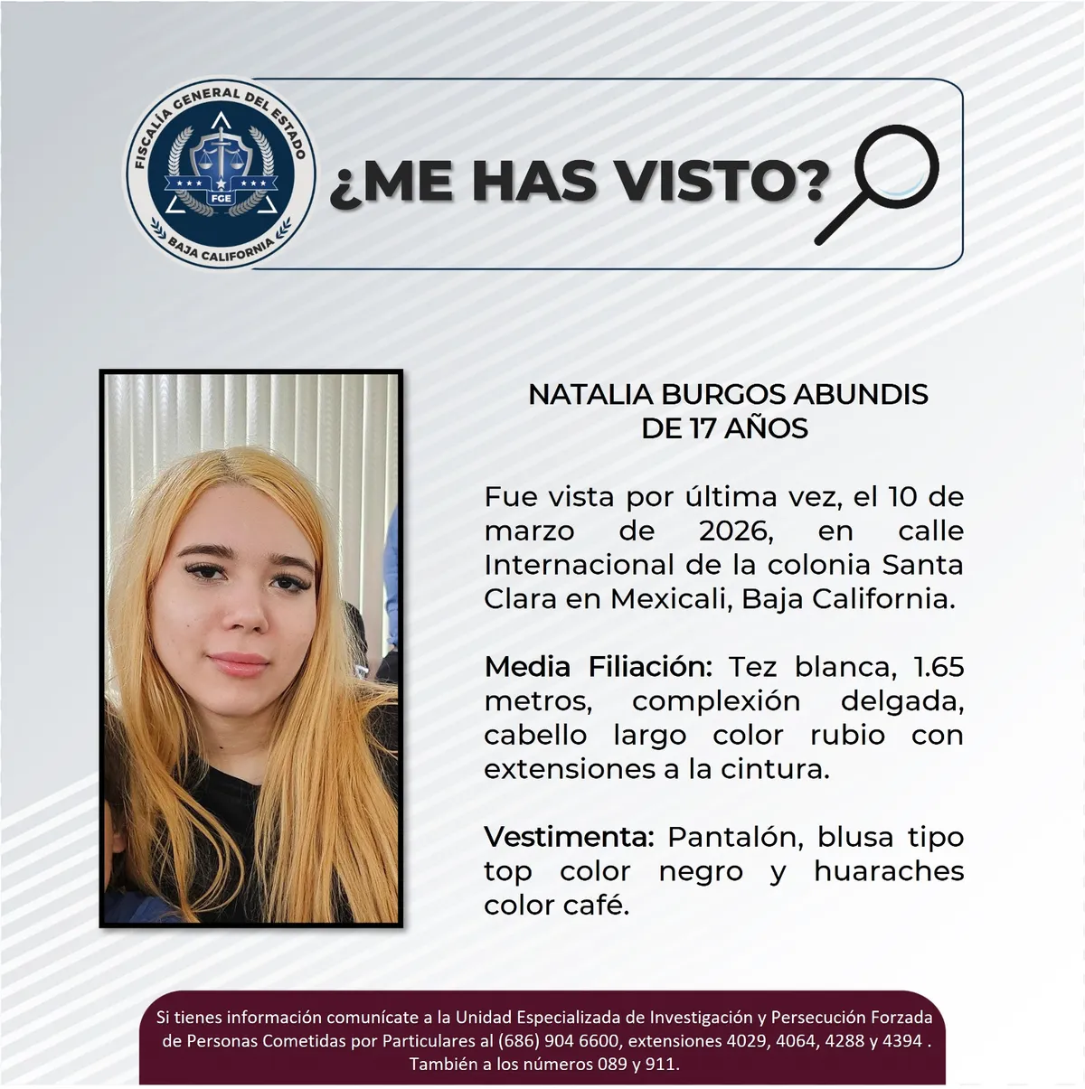 pesquisa_natalia_burgos_abundis_17