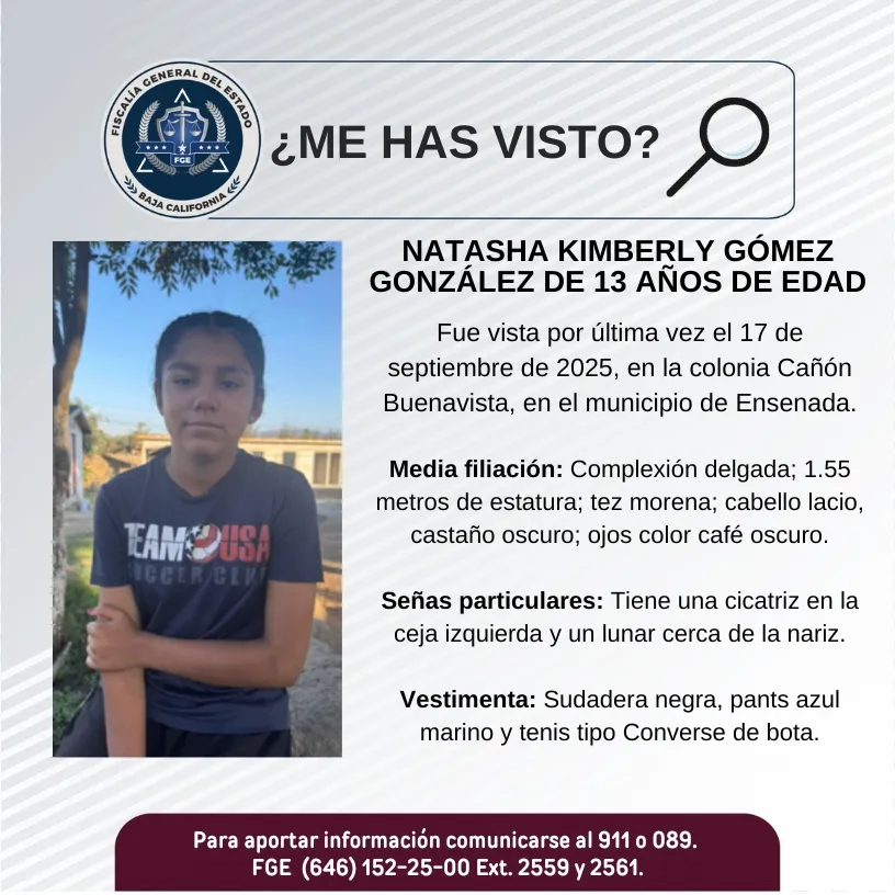 pesquisa_natasha_kimberly_gómez_gonzález_13