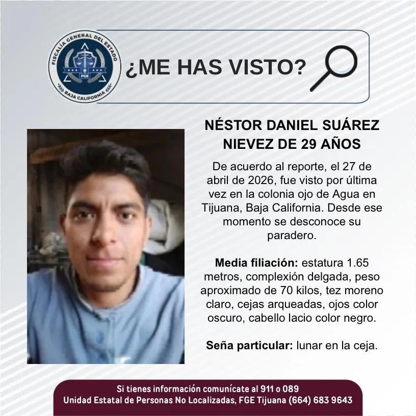 pesquisa_néstor_daniel_suárez_nievez_29